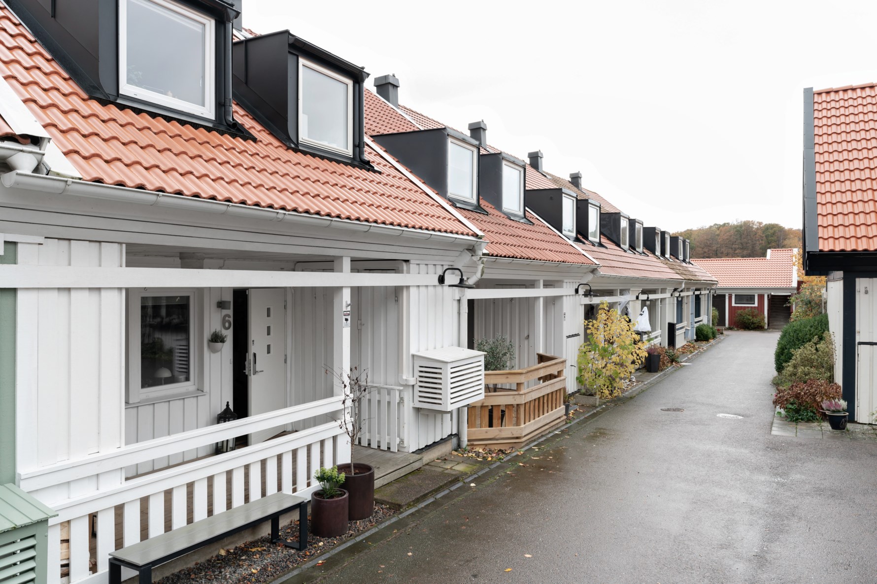 Bild 3 Ängslyckan 6