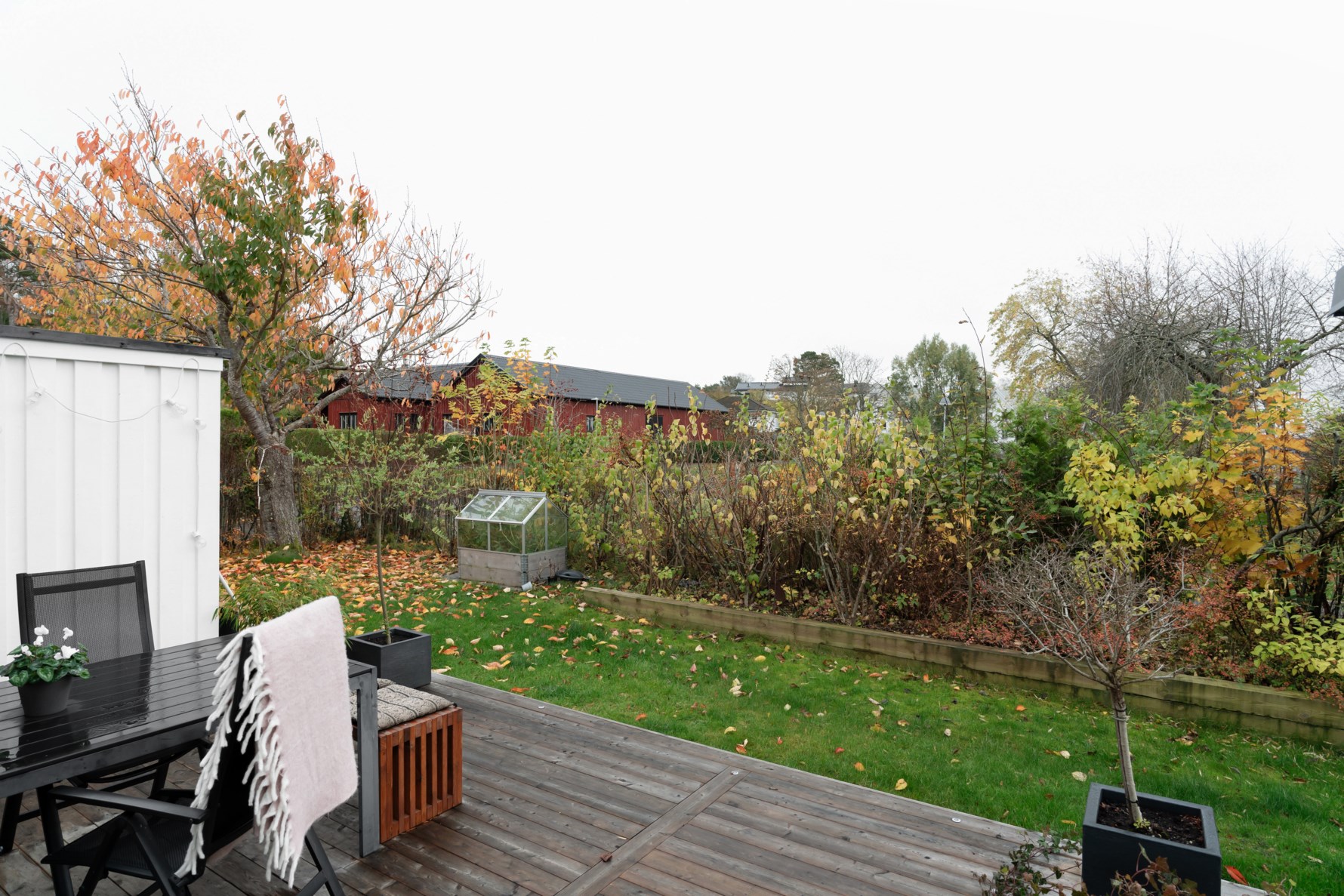 Bild 2 Ängslyckan 6