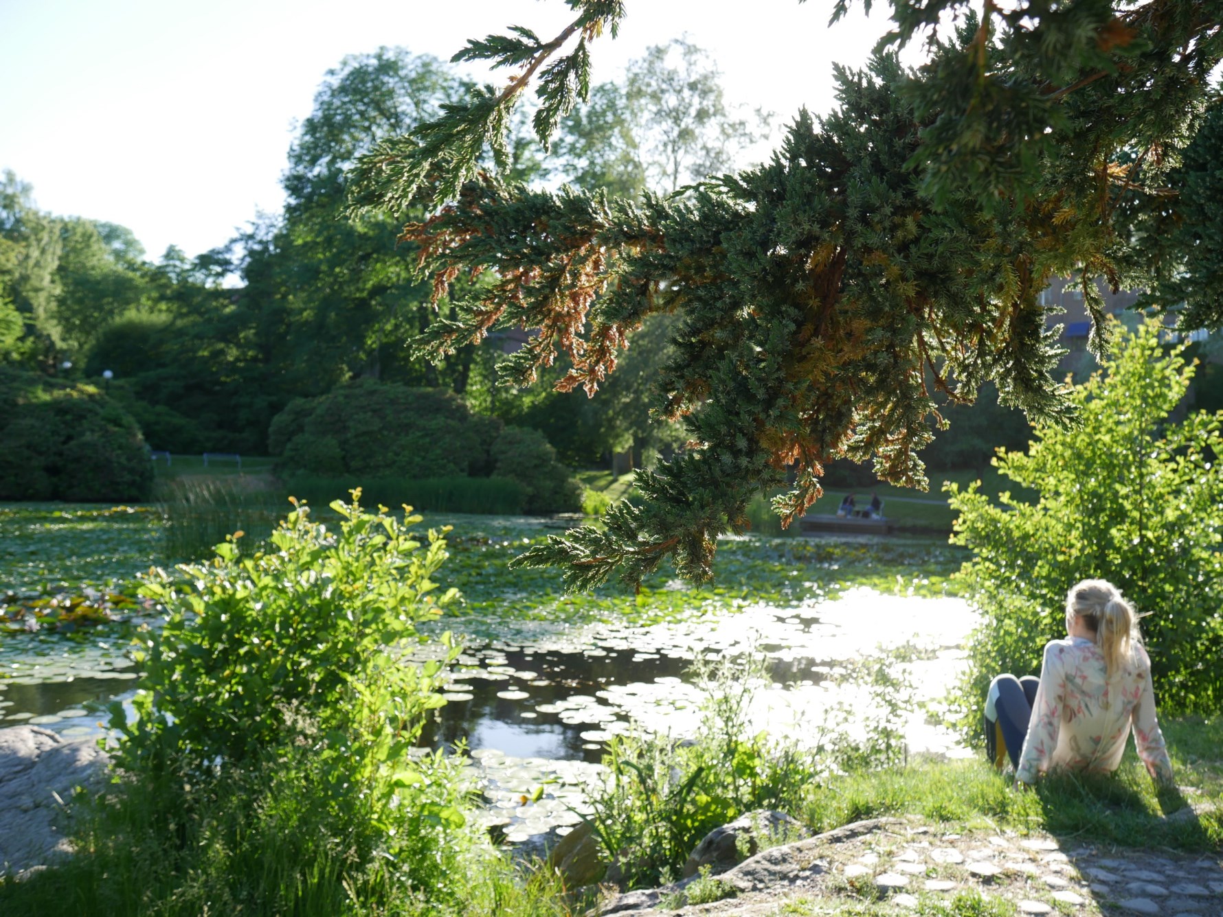 Bild 6 Gibraltargatan 38