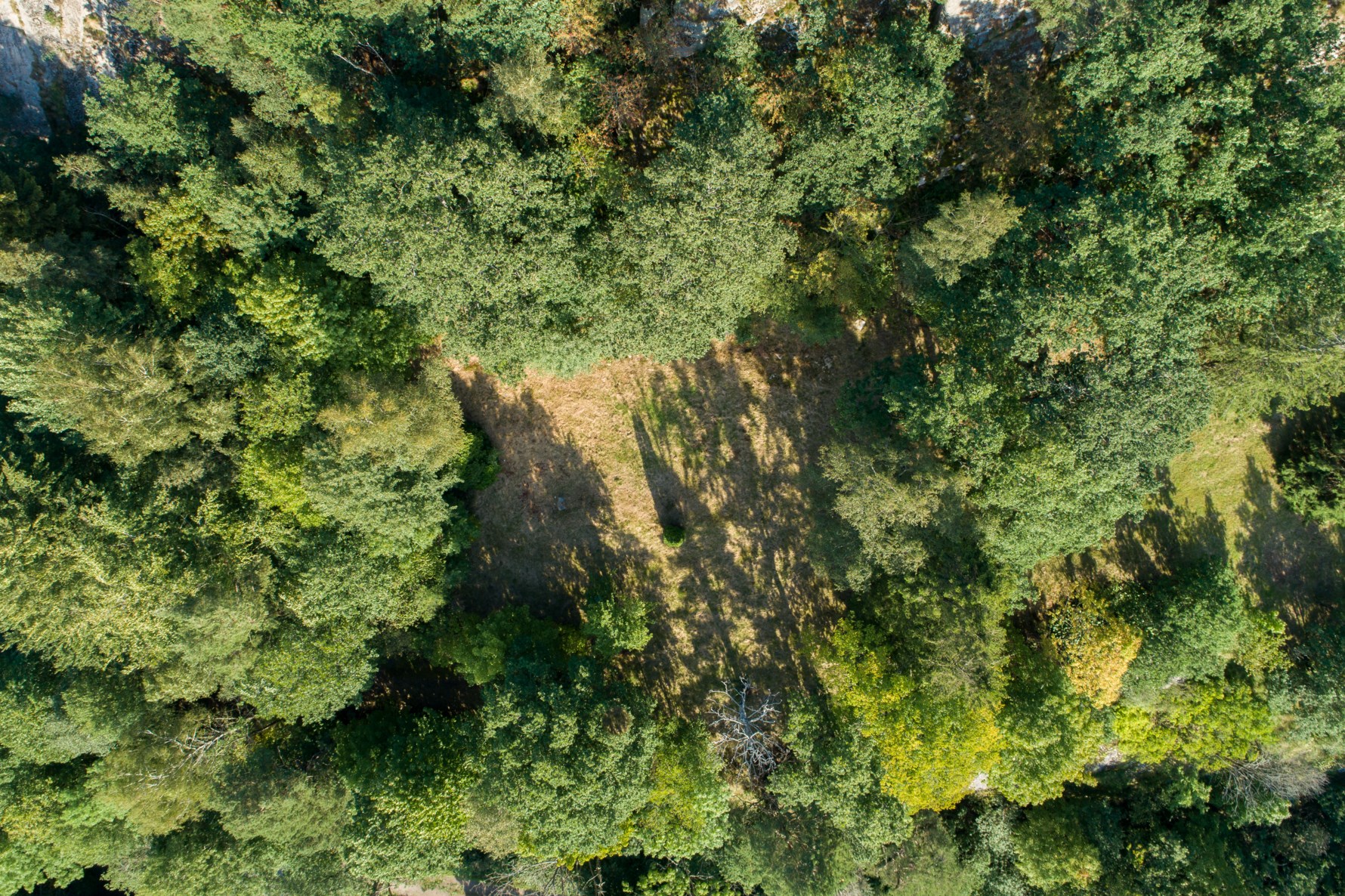 Bild 2 Lindåkrastigen 2