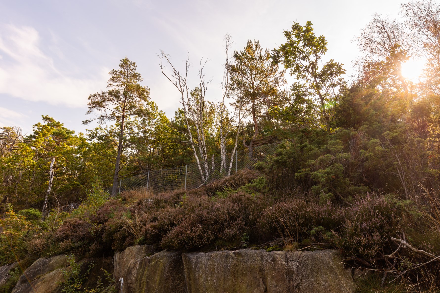 Bild 3 Uggleberget 24