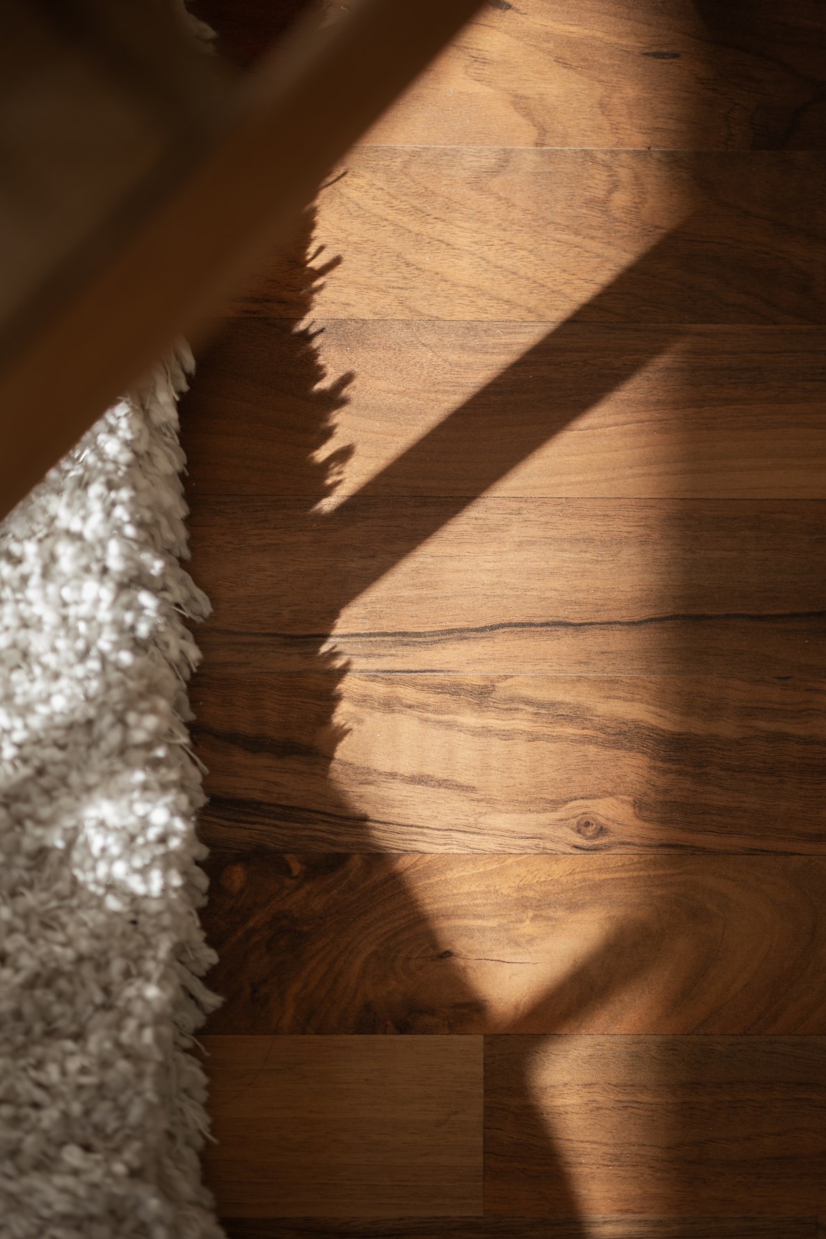 Bild 5 Karl Gustavsgatan 31