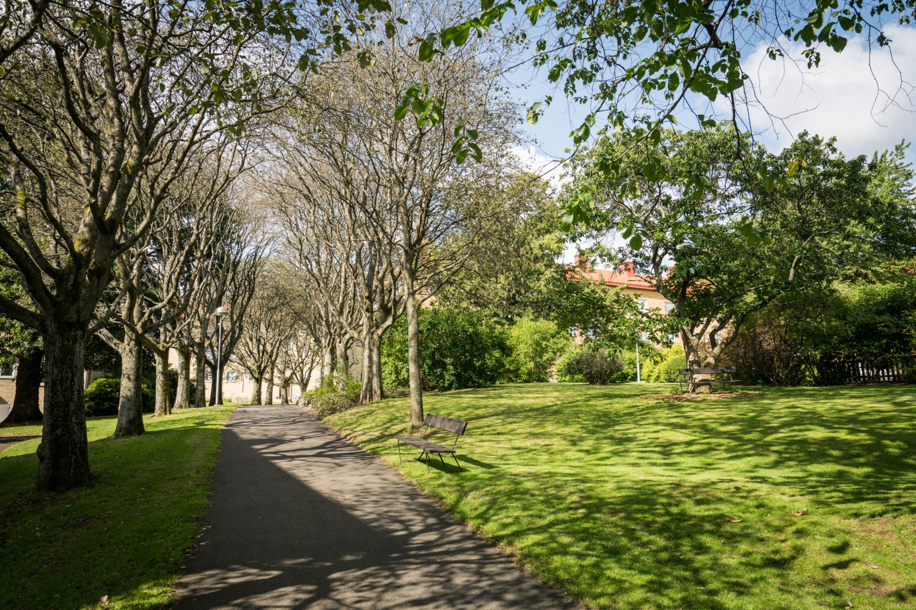 Bild 4 Brynolfsgatan 1B