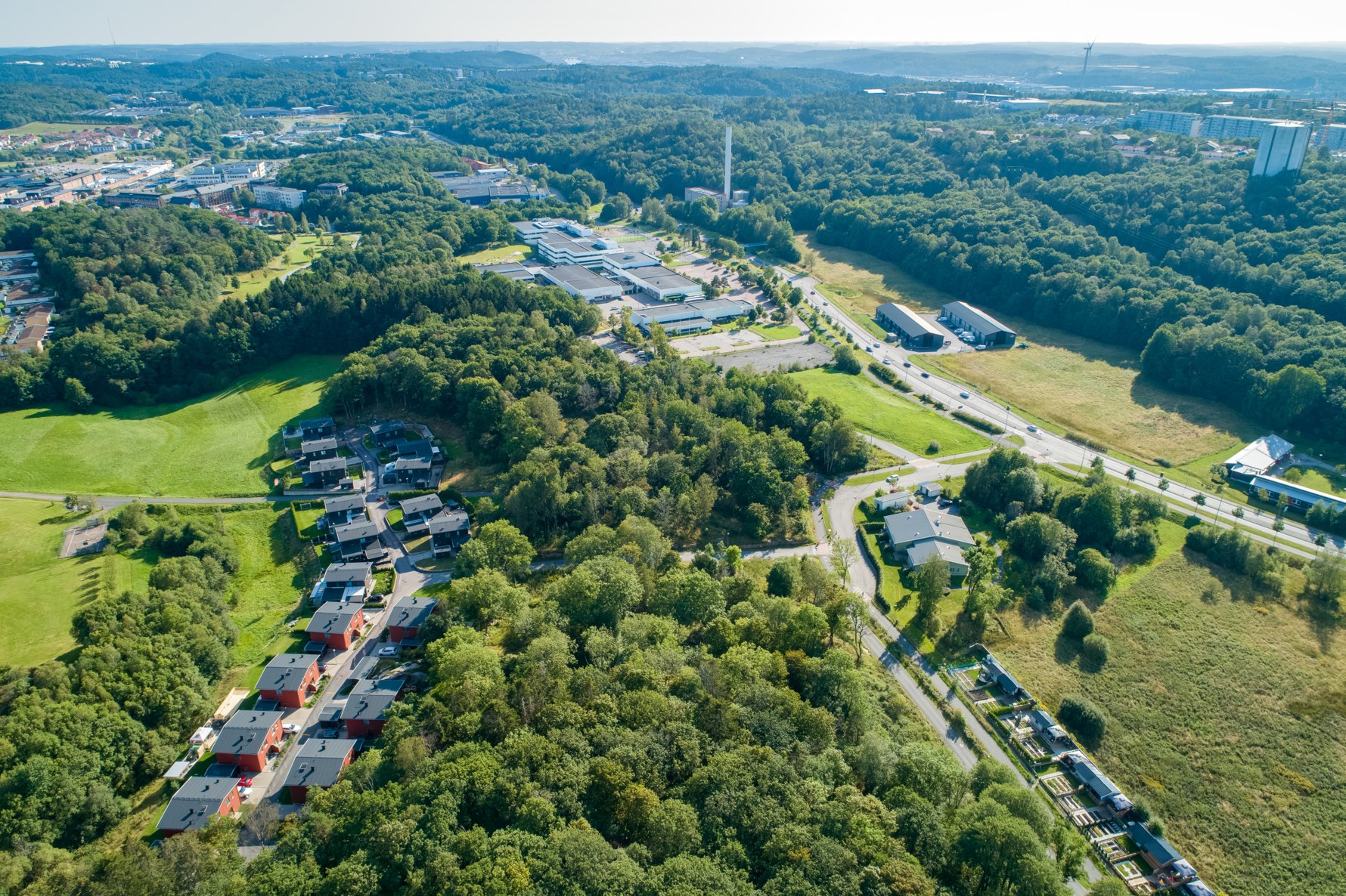 Bild 5 Trädgårdsängen 3