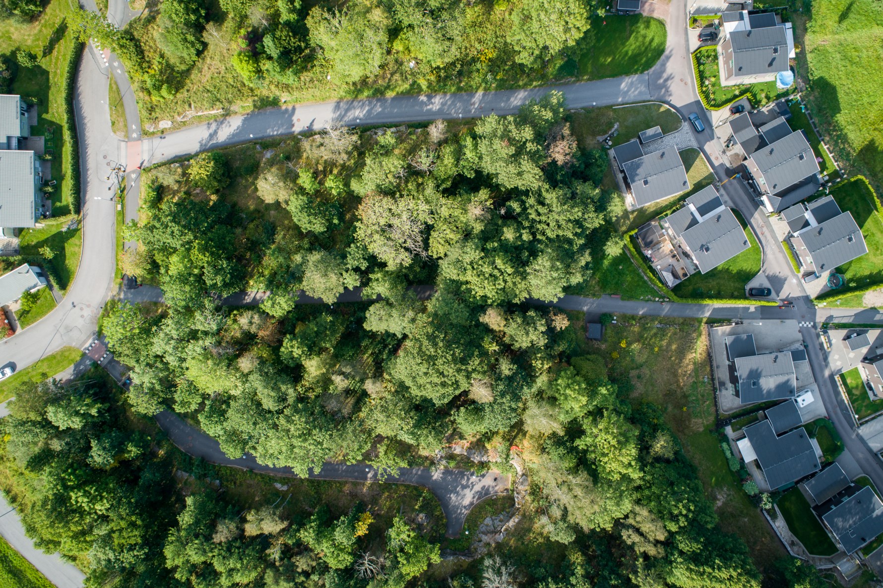 Bild 2 Trädgårdsängen 3