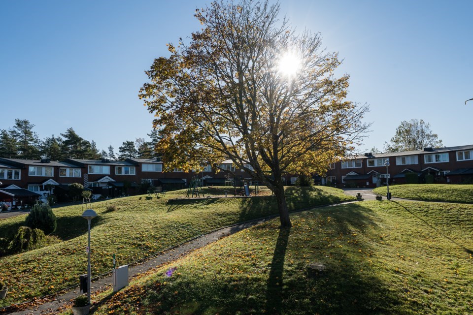 Bild 4 Sandeslättskroken 59